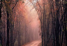 值得深扒的瑞士小众抗老品牌JUVENA柔俪兰